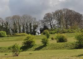 Catherington Down